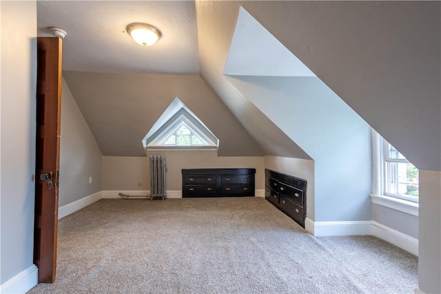 192 Lenox Ave, Providence, RI 02907 - bonus room with carpet, lofted ceiling, and radiator