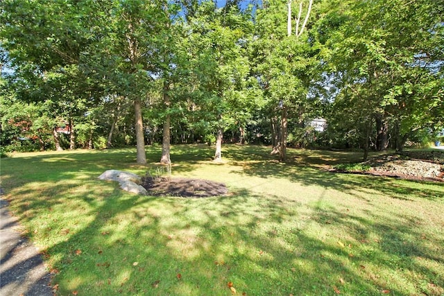 60 Tower Hill Rd, Tiverton, RI 02878 - view of green lawn