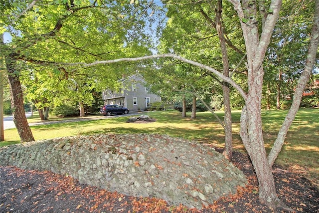 60 Tower Hill Rd, Tiverton, RI 02878 - view of green lawn