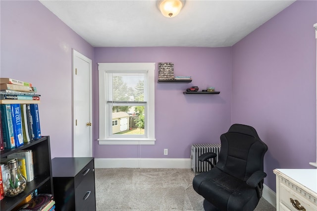 39 Pettaconsett Ave, Warwick, RI 02888 - photo 26