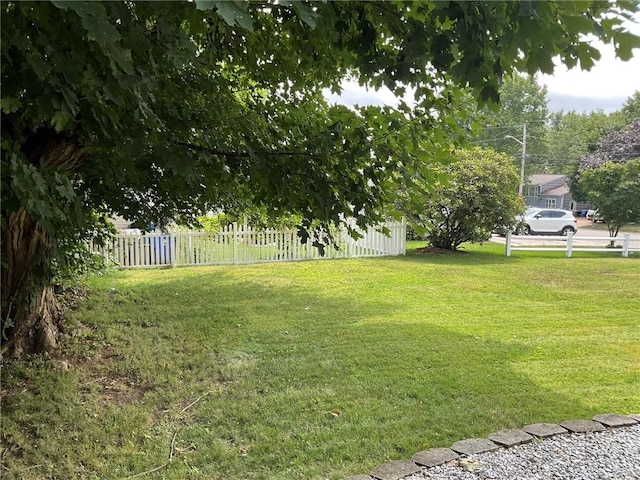 14 Jaycee Dr, West Warwick, RI 02893 - view of yard