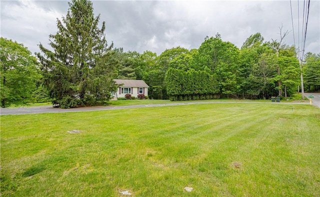 1846 E Wallum Lake Rd, Burrillville, RI 02859 - view of grassy yard