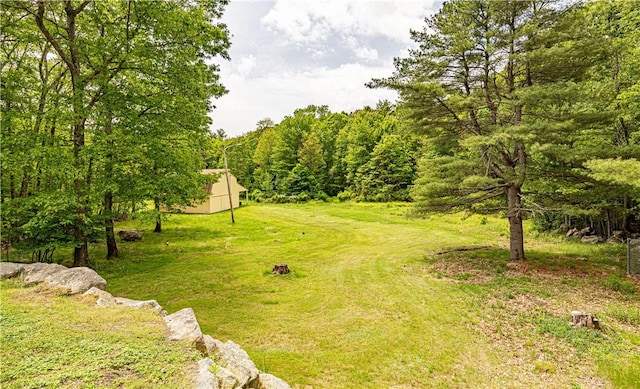1846 E Wallum Lake Rd, Burrillville, RI 02859 - view of grassy yard with an outbuilding and a forest view