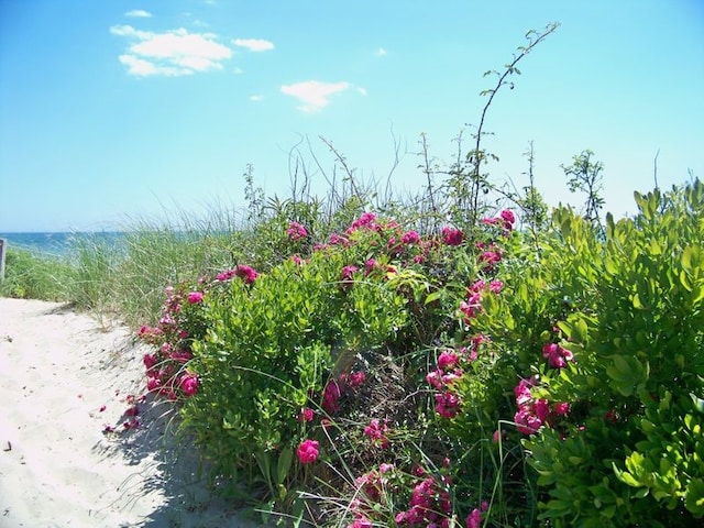 16 Central St, Charlestown, RI 02813 - photo 45