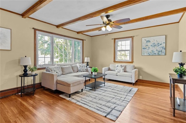 6 Grove Ave, Warren, RI 02885 - photo 8
