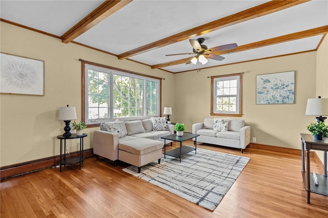 6 Grove Ave, Warren, RI 02885 - photo 10