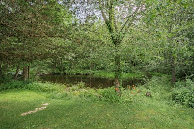 805 Farnum Pike, North Smithfield, RI 02896 - photo 30