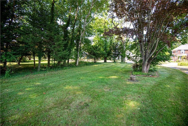 55 Sowams Rd, Barrington, RI 02806 - photo 11