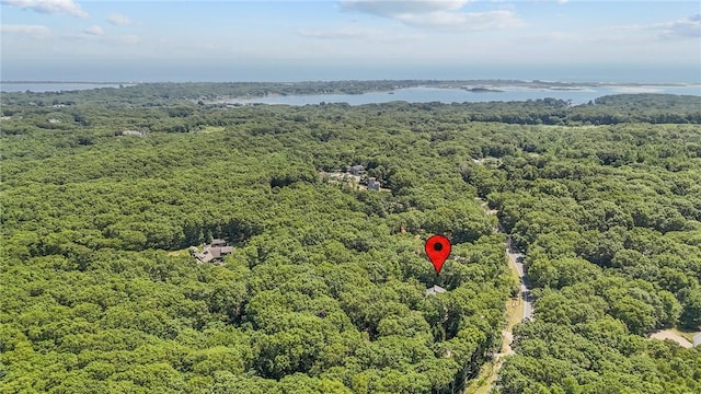 143 Ross Hill Rd, Charlestown, RI 02813 - photo 11