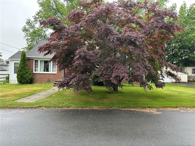 12 Oakland Ave, Johnston, RI 02919 - view of property hidden behind natural elements with brick siding, a front yard, and roof with shingles