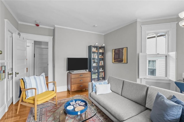 303 Angell St Unit 3, Providence, RI 02906 - living room featuring wood finished floors and ornamental molding
