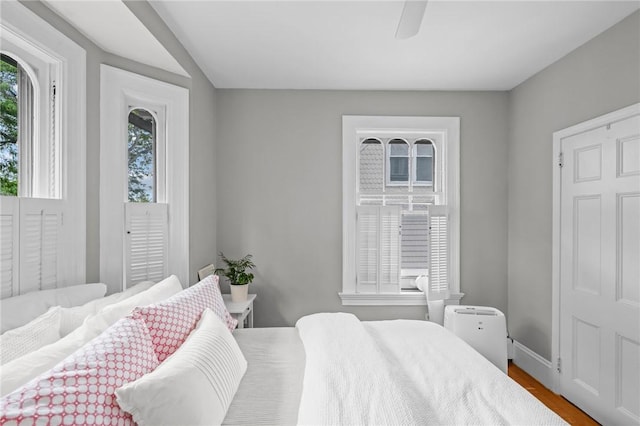303 Angell St Unit 3, Providence, RI 02906 - bedroom with wood finished floors and ceiling fan