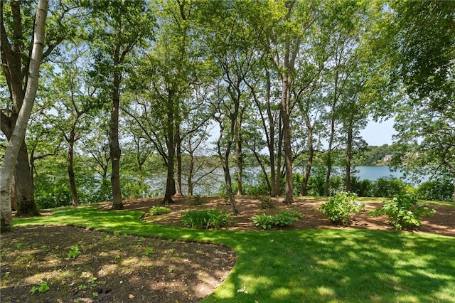 125 Woodruff Ave, Narragansett, RI 02882 - photo 10