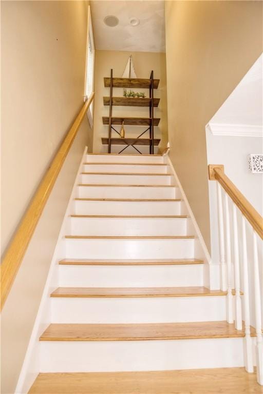 12 N Shore Dr, East Providence, RI 02915 - photo 38
