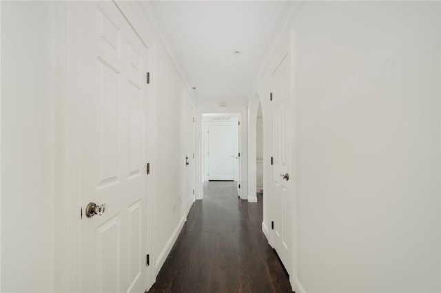 157 Waterman St Unit 2-5, Providence, RI 02906 - hallway featuring dark wood-type flooring and baseboards