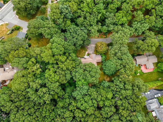 3 Paine Rd, Cumberland, RI 02864 - photo 39