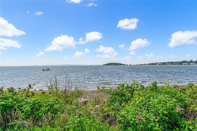 506 Clarks Row, Bristol, RI 02809 - photo 40