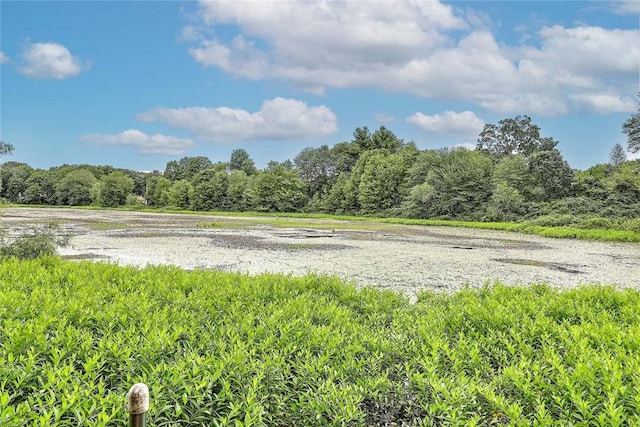 18 Manning Ct, Coventry, RI 02816 - photo 7