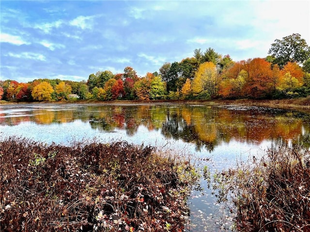 18 Manning Ct, Coventry, RI 02816 - photo 46