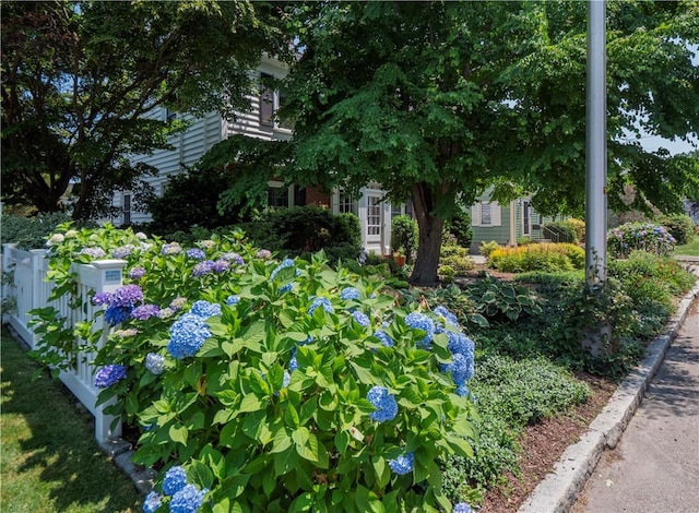 198 Gibbs Ave, Newport, RI 02840 - photo 4
