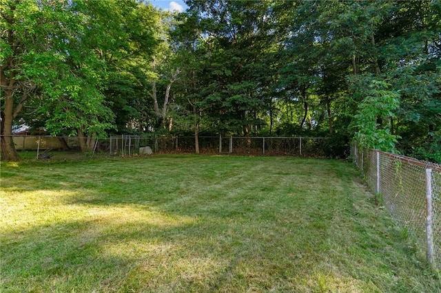61 Pine St, Woonsocket, RI 02895 - photo 39