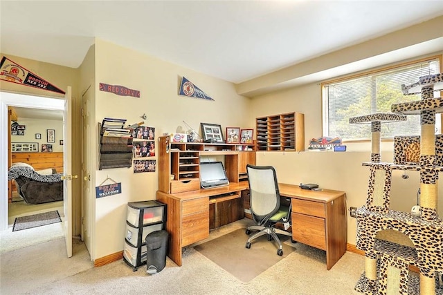 16 Jennifer Ln, Coventry, RI 02816 - photo 46