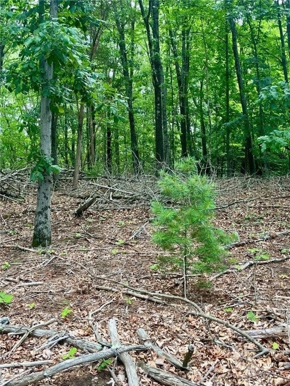3307 Diamond Hill Rd, Cumberland, RI 02864 - photo 8