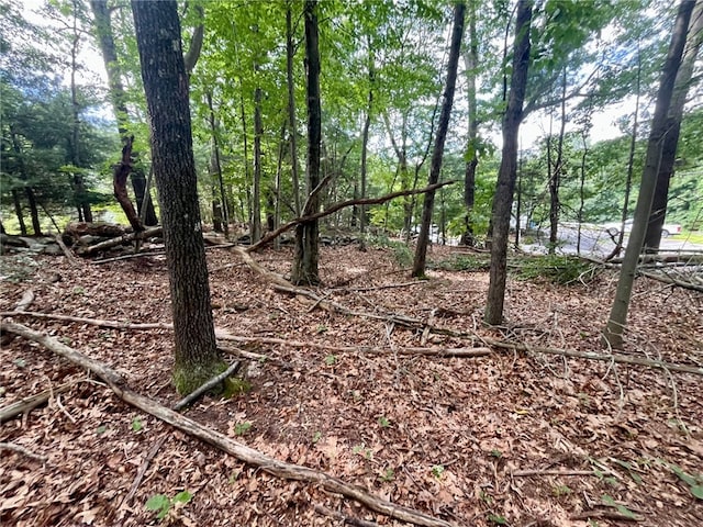 3307 Diamond Hill Rd, Cumberland, RI 02864 - photo 11