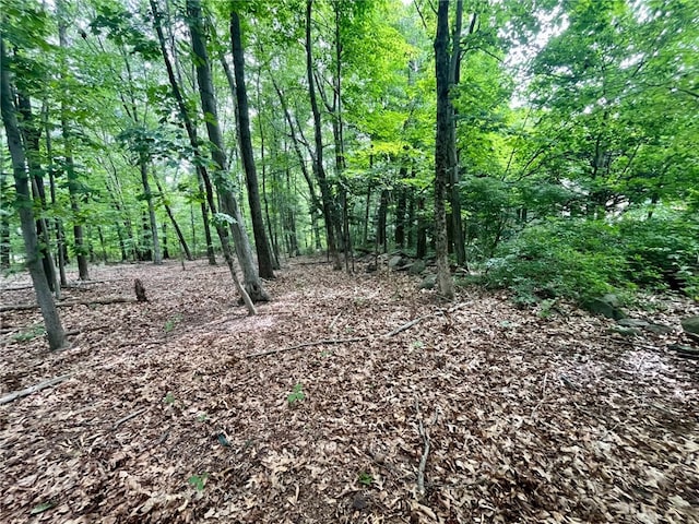 3307 Diamond Hill Rd, Cumberland, RI 02864 - photo 15