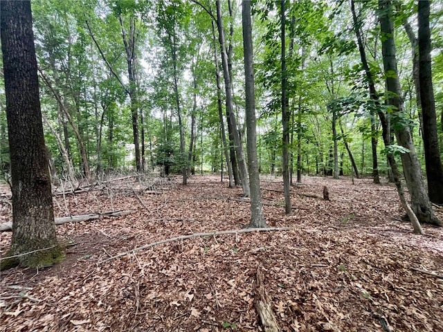 3307 Diamond Hill Rd, Cumberland, RI 02864 - photo 16