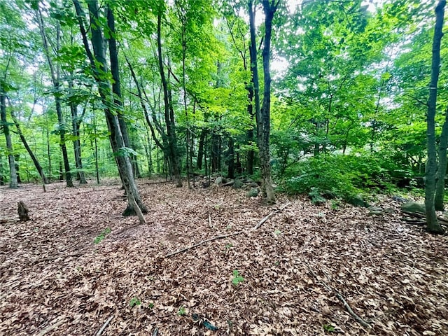 3307 Diamond Hill Rd, Cumberland, RI 02864 - photo 18