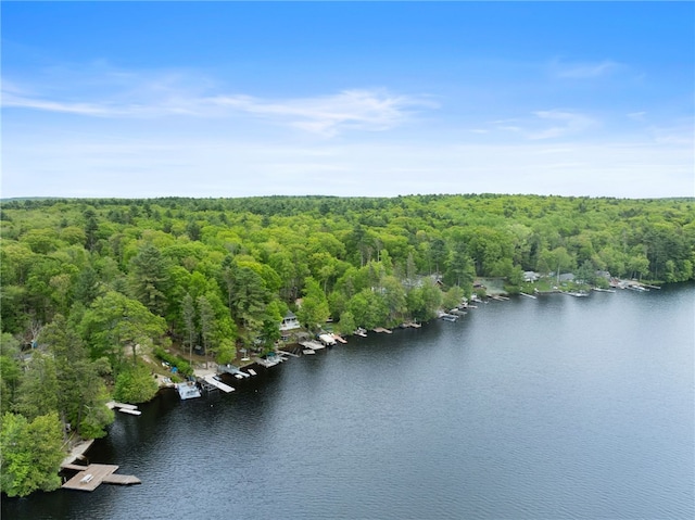 25 Melissa Ln, Burrillville, RI 02859 - photo 27