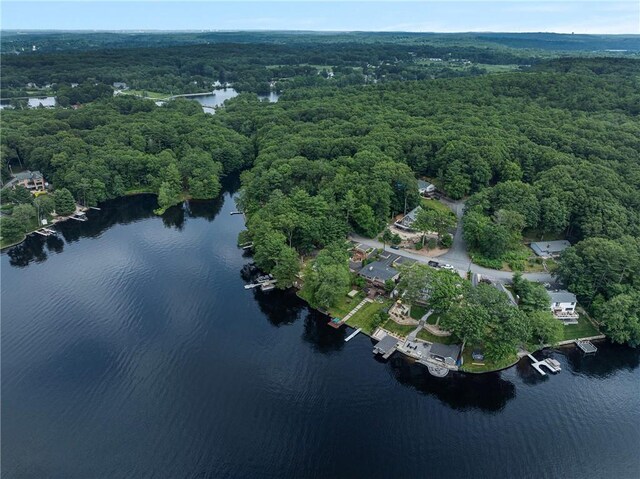 144 Aldrich Rd, Glocester, RI 02857 - photo 46