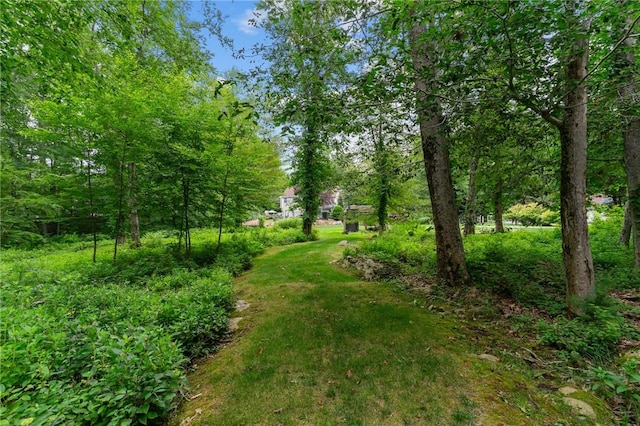 375 Franklin Rd, Coventry, RI 02816 - photo 43