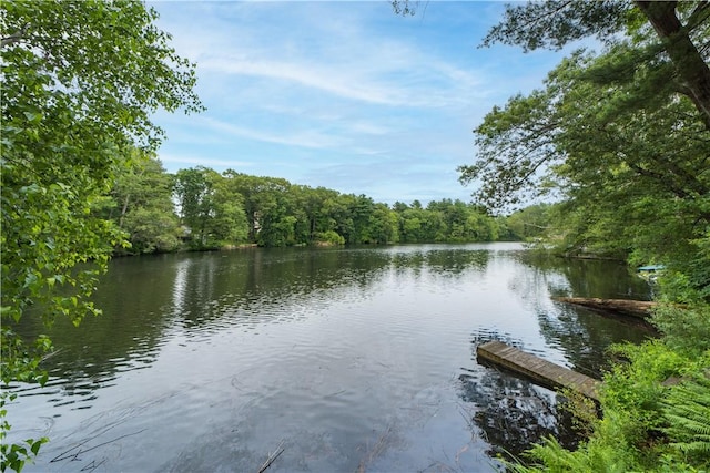 16 Ruff Stone Rd, Smithfield, RI 02828 - photo 13