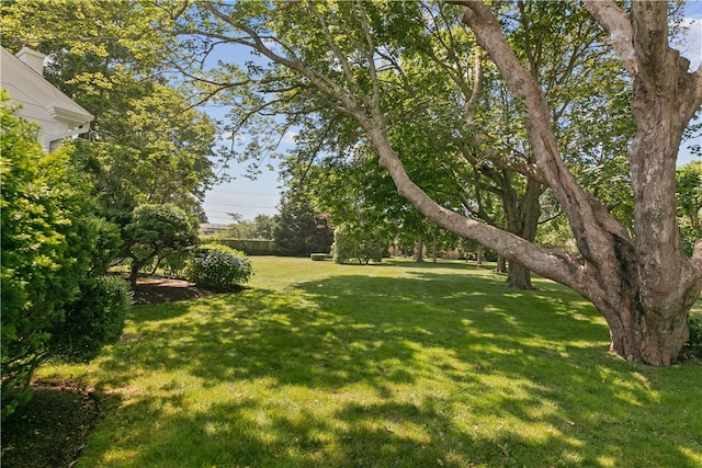 718 Bellevue Ave Unit 5, Newport, RI 02840 - photo 38