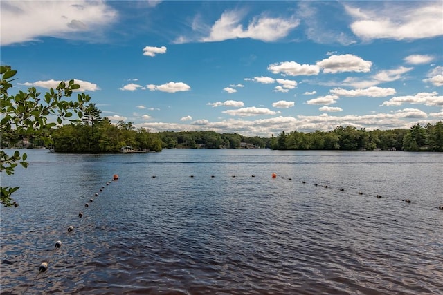 76 Long Meadow Dr, Glocester, RI 02814 - photo 22