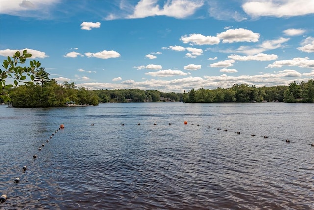 76 Long Meadow Dr, Glocester, RI 02814 - photo 23