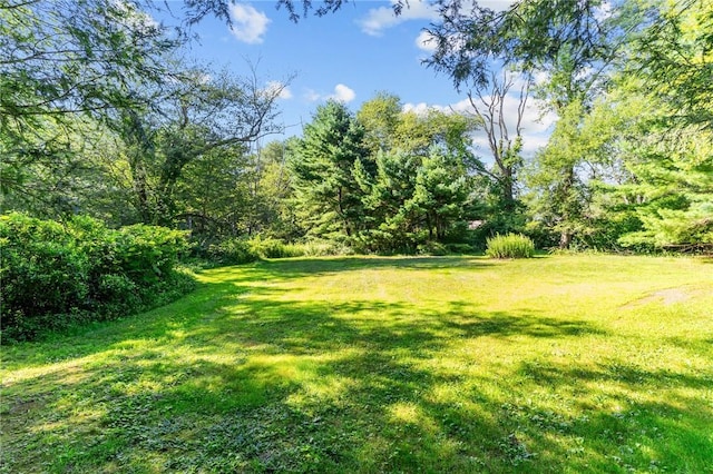 211 Nooseneck Hill Rd, Exeter, RI 02822 - photo 5
