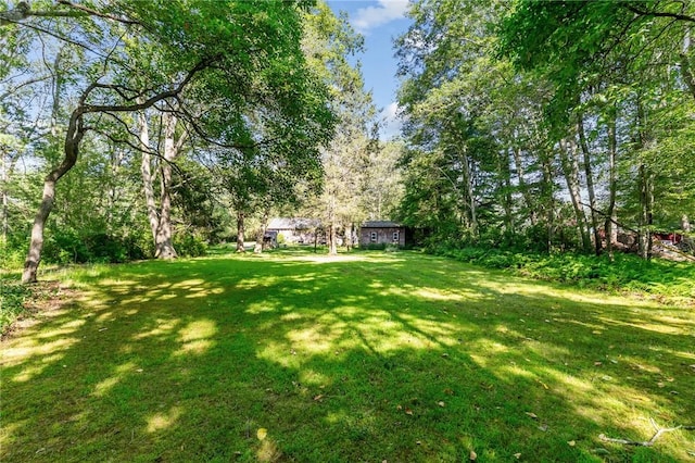 211 Nooseneck Hill Rd, Exeter, RI 02822 - photo 24
