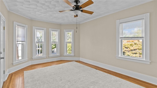 309 Highland Ave, Providence, RI 02906 - photo 6