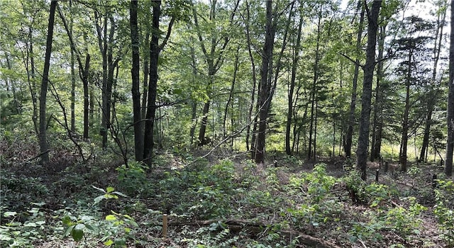 12 Fallon Trl, Westerly, RI 02891 - photo 3