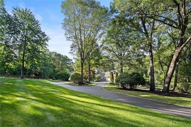 16 Hillside Rd, Cumberland, RI 02864 - photo 32