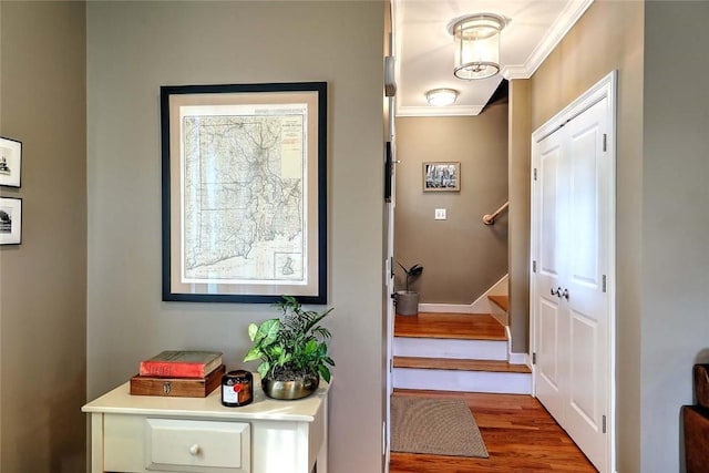 460 Fairgrounds Rd, South Kingstown, RI 02892 - photo 9