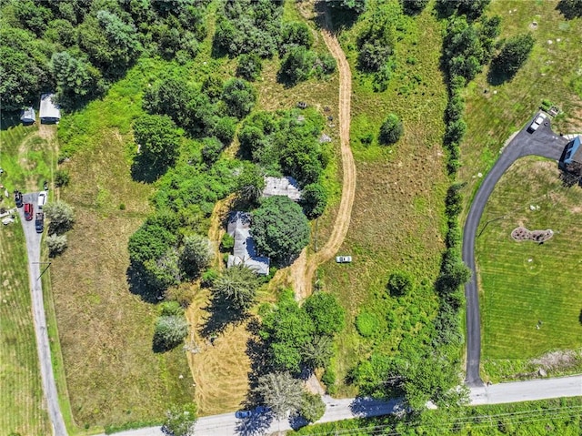 96 Log Bridge Rd, Coventry, RI 02827 - photo 33