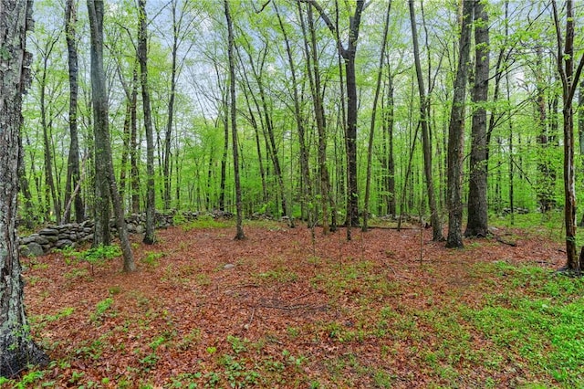 70 Fowler Rd, No Stonington, CT 06359 - photo 7