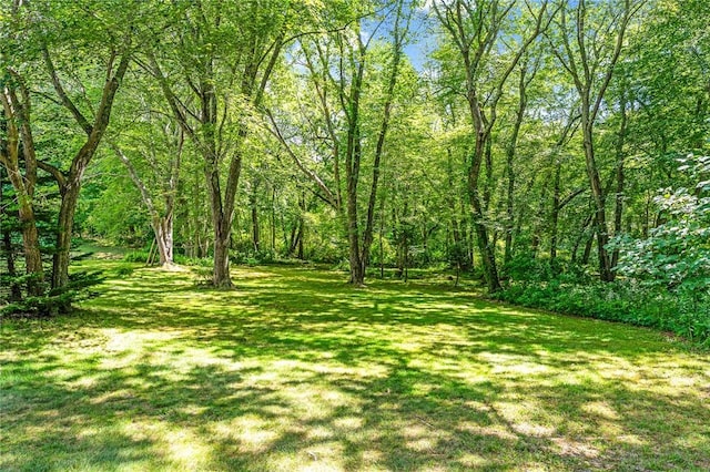 100 Warren Rd, Charlestown, RI 02813 - photo 5