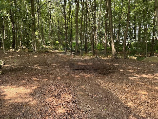 15 Ezechiel Carre Rd, East Greenwich, RI 02818 - photo 50