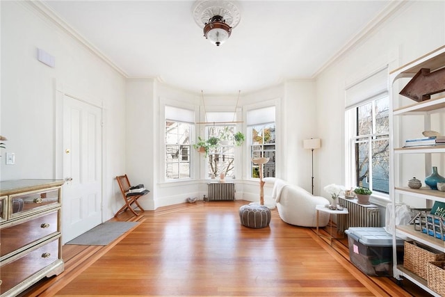 26 Hudson St, Providence, RI 02909 - photo 15