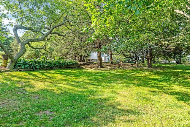 6 Chapel Pl, Westerly, RI 02891 - photo 24